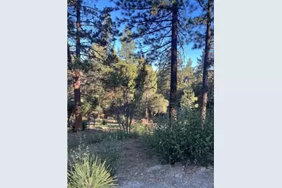 545 Division Drive, Big Bear City, CA 92314 - Photo 2