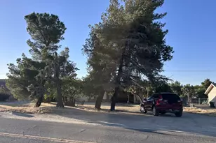 57986 Joshua Ln, Yucca Valley, CA 92284 - Photo 4