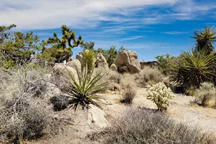 56949 Spencer Rd, Yucca Valley, CA 92284 - Photo 34