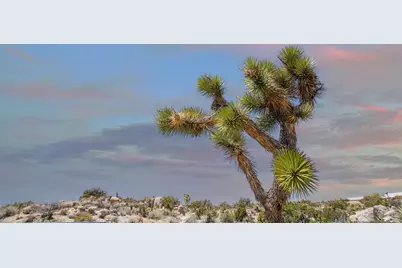 56949 Spencer Road, Yucca Valley, CA 92284 - Photo 22
