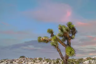 56949 Spencer Rd, Yucca Valley, CA 92284 - Photo 22