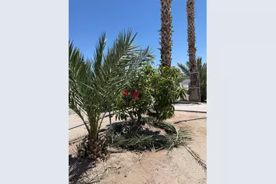 2531 Butte Place, Thermal, CA 92274 - Photo 6