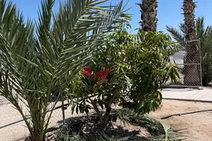 2531 Butte Pl, Thermal, CA 92274 - Photo 6