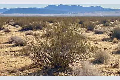 104 Joshua Tree Road, Johnson Valley, CA 92285 - Photo 38