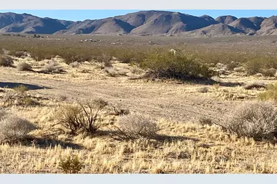 104 Joshua Tree Road, Johnson Valley, CA 92285 - Photo 22