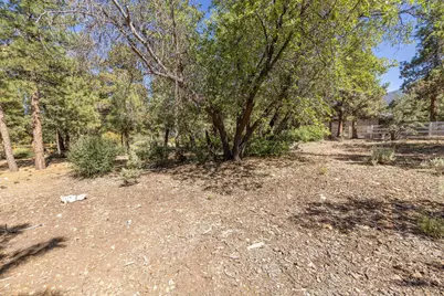 655 Cedar Glen Drive, Big Bear City, CA 92314 - Photo 12