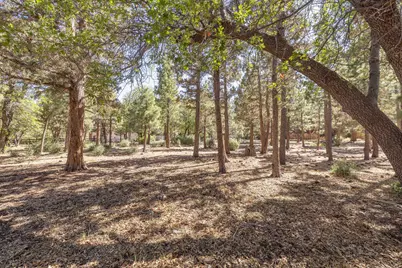 655 Cedar Glen Drive, Big Bear City, CA 92314 - Photo 8