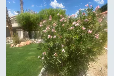 52790 Avenida Herrera, La Quinta, CA 92253 - Photo 38