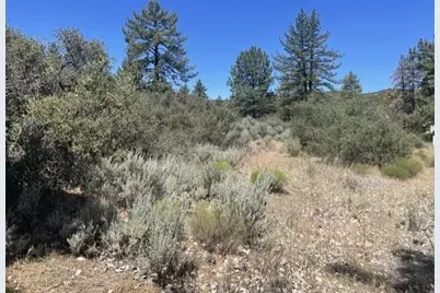 0 Devils Ladder, Mountain Center, CA 92561 - Photo 6