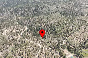 32311 Rim of the World Dr, Fawnskin, CA 92333 - Photo 44