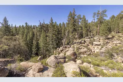 32311 Rim Of The World Drive, Fawnskin, CA 92333 - Photo 48