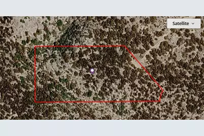00 Palace Drive, Mountain Center, CA 92561 - Photo 2