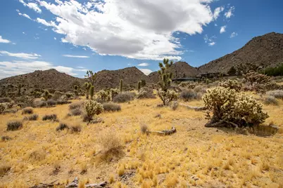 8021 Wesley Road, Joshua Tree, CA 92252 - Photo 14