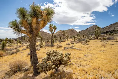 8021 Wesley Road, Joshua Tree, CA 92252 - Photo 10