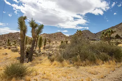 8021 Wesley Road, Joshua Tree, CA 92252 - Photo 4