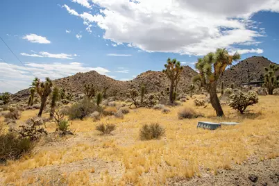 8021 Wesley Road, Joshua Tree, CA 92252 - Photo 6