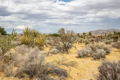 207 Onaga Trail, Joshua Tree, CA 92252 - Photo 8