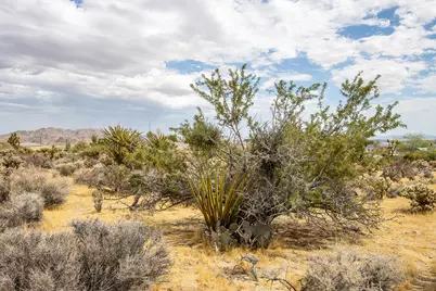 207 Onaga Trail, Joshua Tree, CA 92252 - Photo 10