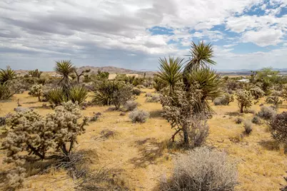 207 Onaga Trail, Joshua Tree, CA 92252 - Photo 18