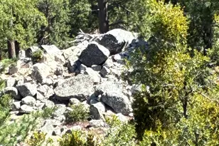 24930 Pine Cove Rd, Idyllwild, CA 92549 - Photo 8