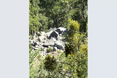 24930 Pine Cove Road, Idyllwild, CA 92549 - Photo 12