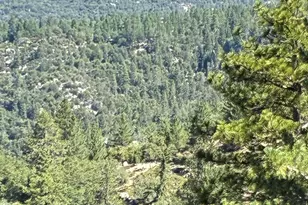 24930 Pine Cove Rd, Idyllwild, CA 92549 - Photo 10