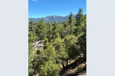 24930 Pine Cove Road, Idyllwild, CA 92549 - Photo 8