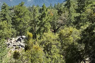 24930 Pine Cove Rd, Idyllwild, CA 92549 - Photo 8