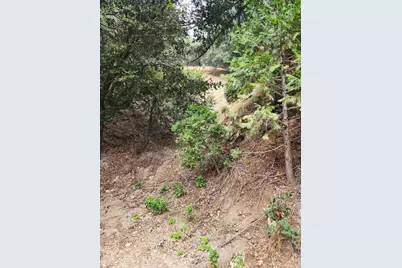 0 Fern Canyon Road, Crestline, CA 92325 - Photo 2