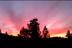 1087 Brookside Ln, Fawnskin, CA 92333 - Photo 10