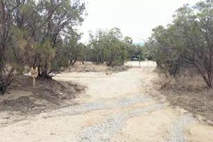 56471 Lubo Trail, Anza, CA 92539 - Photo 38