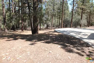 504 Pinewood Ct, Big Bear Lake, CA 92314 - Photo 10