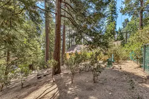 25246 Gail Dr, Idyllwild, CA 92549 - Photo 34