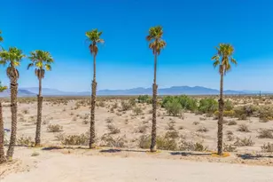 43960 Shasta Dr, Desert Center, CA 92239 - Photo 46