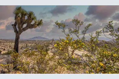 133 Elata Avenue, Yucca Valley, CA 92284 - Photo 2