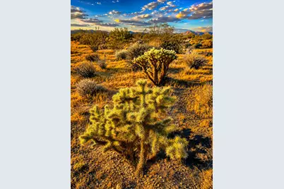 0 Rockwood Road, Joshua Tree, CA 92252 - Photo 2