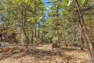 24701 Schaffer Dr., Idyllwild, CA 92549 - Photo 30
