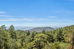24701 Schaffer Dr., Idyllwild, CA 92549 - Photo 38