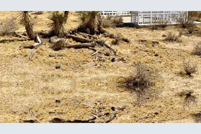 109 Border Avenue, Joshua Tree, CA 92252 - Photo 14