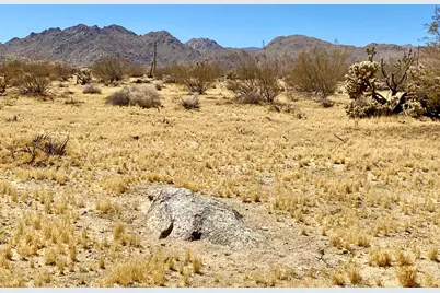 109 Border Avenue, Joshua Tree, CA 92252 - Photo 24