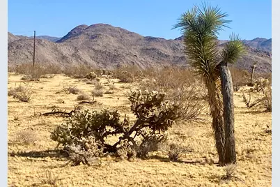 109 Border Avenue, Joshua Tree, CA 92252 - Photo 56
