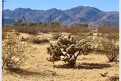 109 Border Avenue, Joshua Tree, CA 92252 - Photo 50