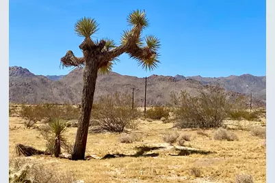 62585 Two Mile Road, Joshua Tree, CA 92252 - Photo 2
