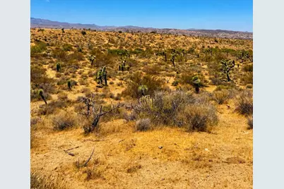 58920 Lisbon Drive, Yucca Valley, CA 92284 - Photo 4