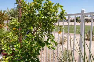 81711 Brittlebush Ln, La Quinta, CA 92253 - Photo 24