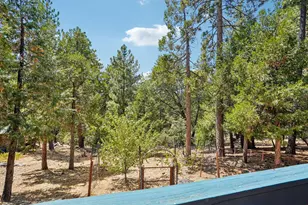 25447 Marion Ridge, Idyllwild, CA 92549 - Photo 28