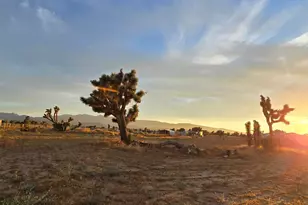 9286 Nevada Rd, Phelan, CA 92371 - Photo 16