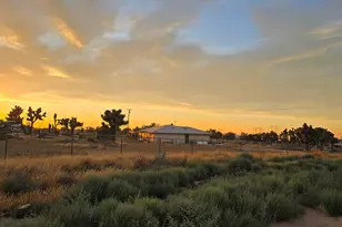 9286 Nevada Rd, Phelan, CA 92371 - Photo 2