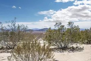 63637 Gemini Rd, Joshua Tree, CA 92252 - Photo 2