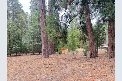 54218 Marian View Drive, Idyllwild, CA 92549 - Photo 6